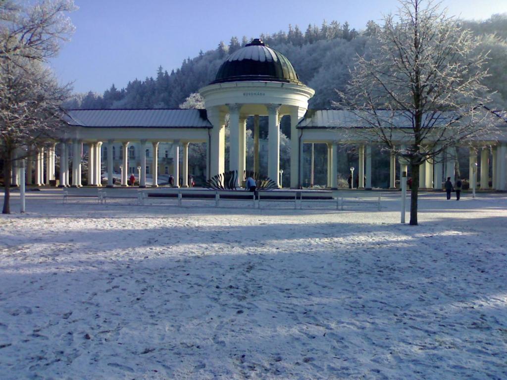Mariánské Lázně Topapartmany Lesni מראה חיצוני תמונה